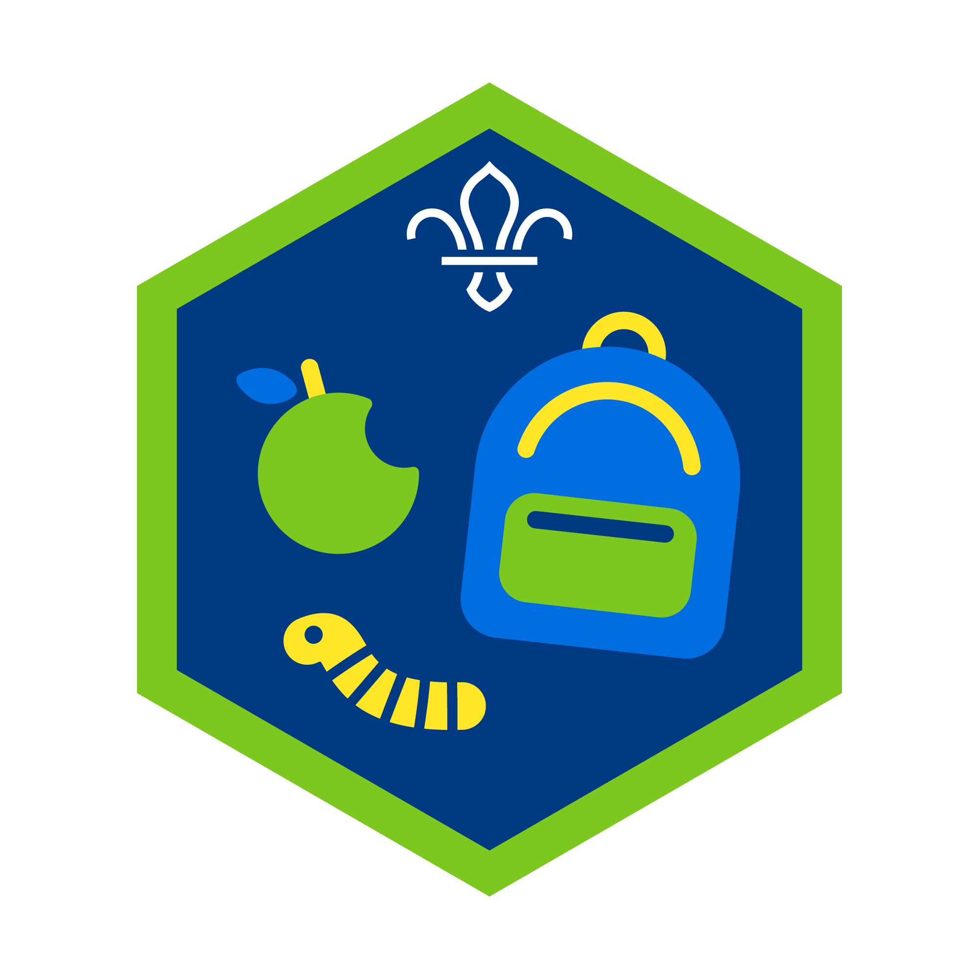 All Adventure Challenge Award